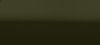 2012 Fiat 500c - Olive Green (verde olivo)