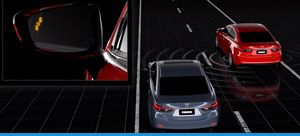 Blind Spot Monitoring System