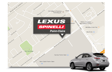 Spinelli Lexus Spinelli Lexus