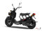 Honda RUCKUS RUCKUS 2012
