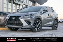 2019 Lexus NX 300 NX 300