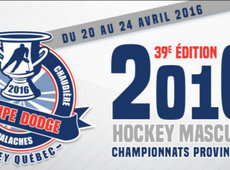 Coupe Dodge à Lévis