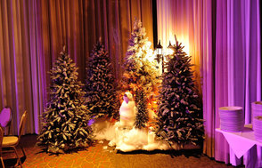 Une Fête de Noël inoubliable...
