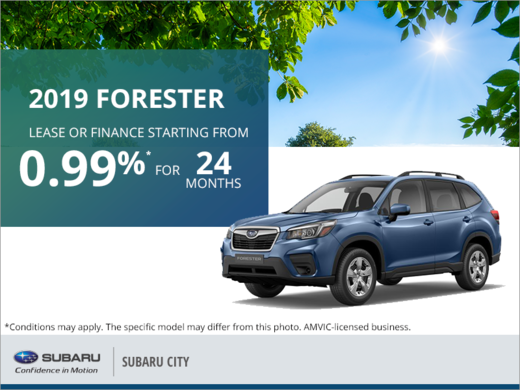 Get the 2019 Subaru Forester Today!