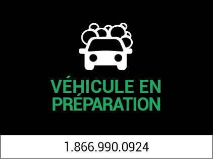 2009 Hyundai Accent