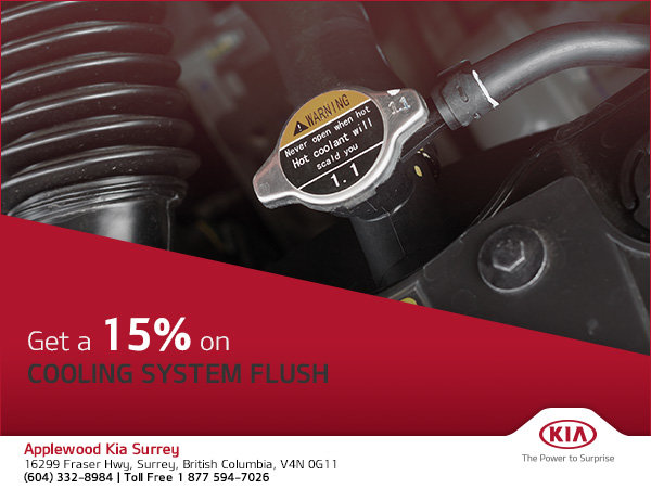 15% Off Cooling System Flush