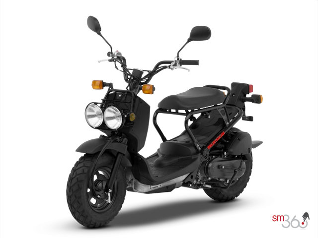 Honda RUCKUS RUCKUS 2012