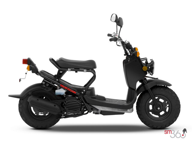 Honda RUCKUS RUCKUS 2012