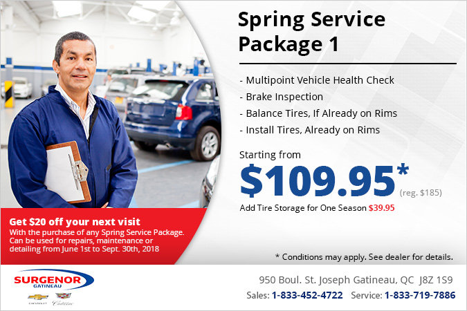 Get a Spring Service Package 1!