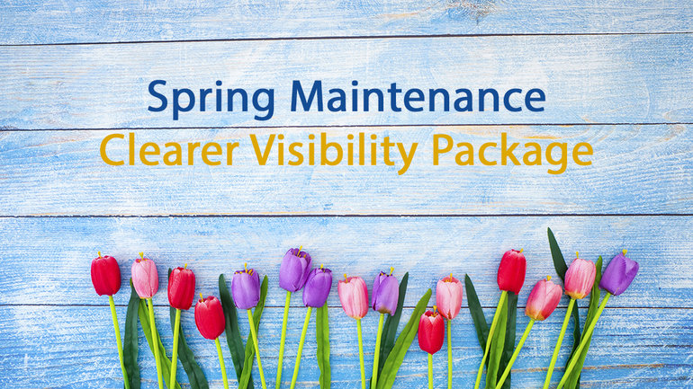 Spring Maintenance - Visibility Package