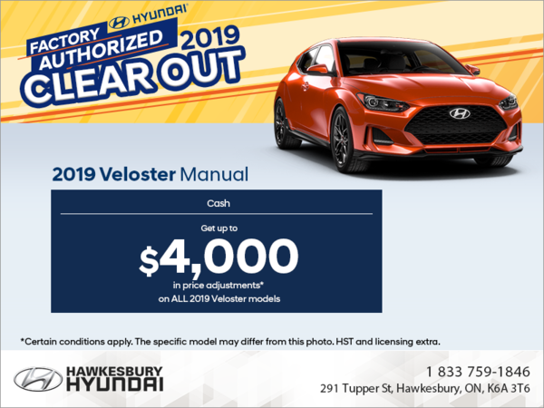 Get the 2019 Veloster!
