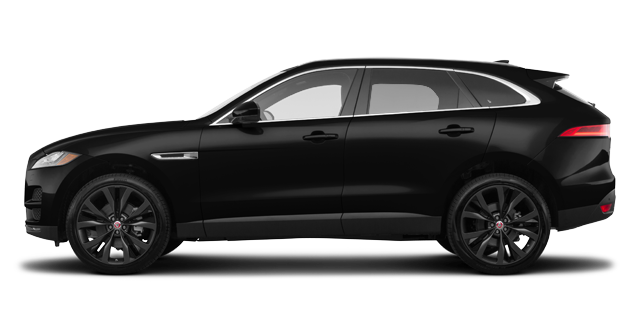 Unique 10 Jaguar Portfolio 2020